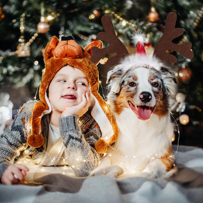 Dog Reindeer Antlers