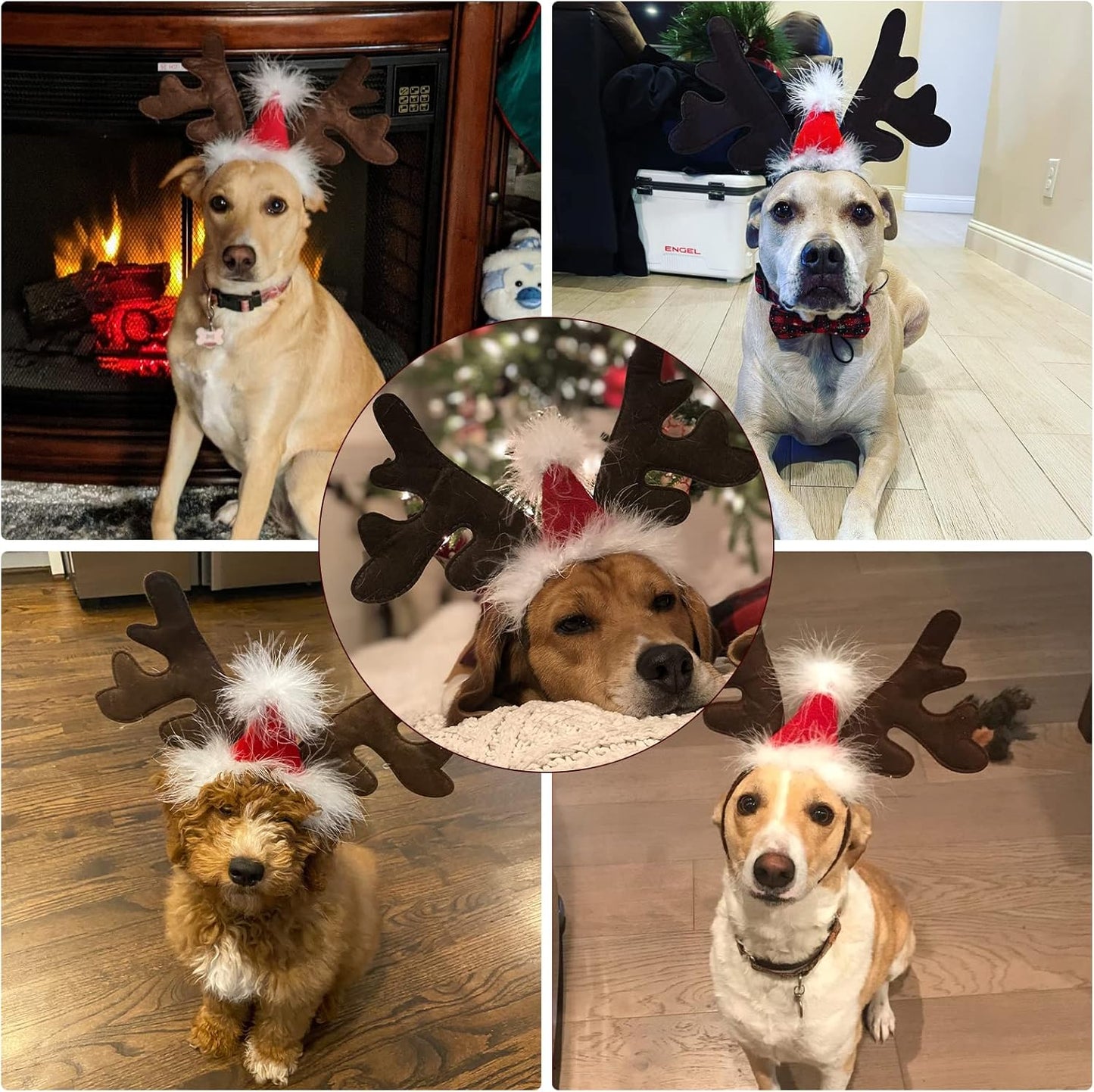 Dog Reindeer Antlers