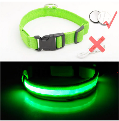 Led Dog Collar Anti-Lost Collar