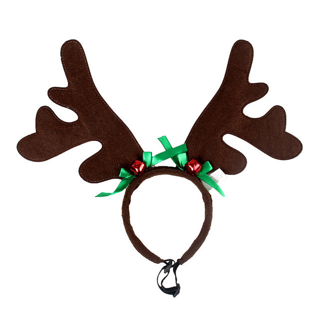 Dog Reindeer Antlers