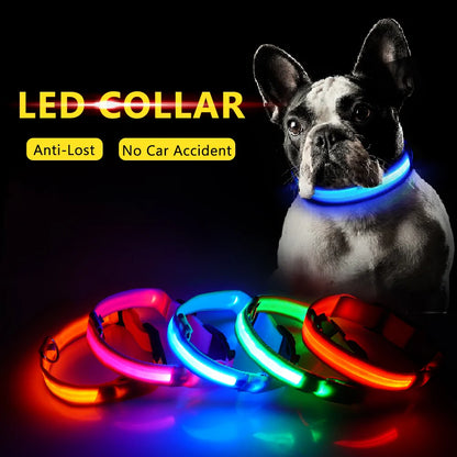 Led Dog Collar Anti-Lost Collar